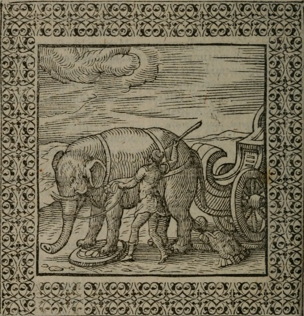 An illustration from Omnia Andreae Alciati v.c. emblemata : cum commentariis, quibus emblematum omnium aperta origine, mens auctoris explicatur, & obscura omnia dubiáque illustrantur, 1577, leaf 567