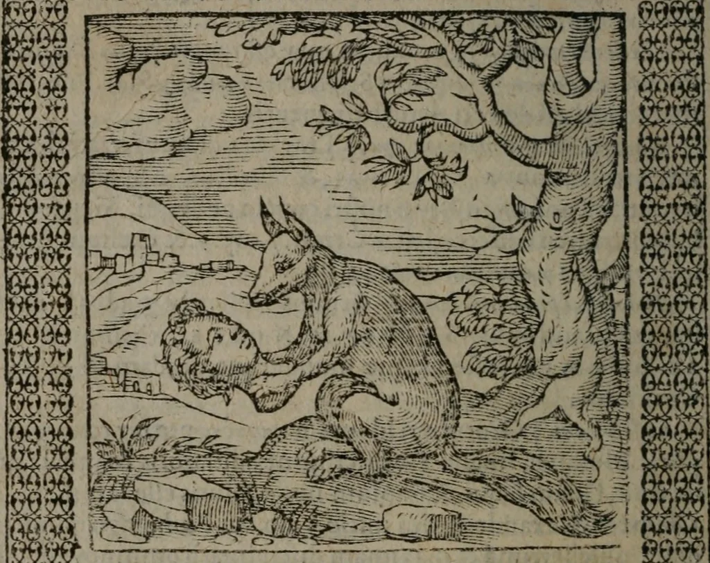 An illustration from Omnia Andreae Alciati v.c. emblemata : cum commentariis, quibus emblematum omnium aperta origine, mens auctoris explicatur, & obscura omnia dubiáque illustrantur, 1577, leaf 617