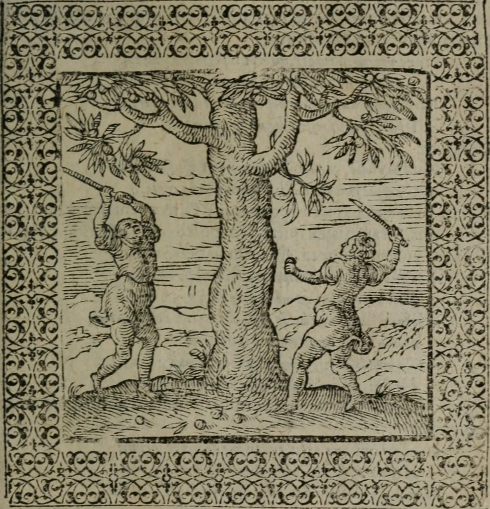 An illustration from Omnia Andreae Alciati v.c. emblemata : cum commentariis, quibus emblematum omnium aperta origine, mens auctoris explicatur, & obscura omnia dubiáque illustrantur, 1577, leaf 626