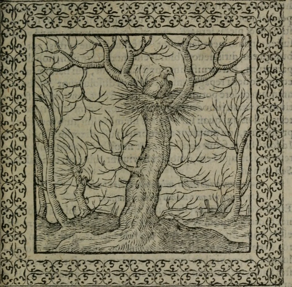 An illustration from Omnia Andreae Alciati v.c. emblemata : cum commentariis, quibus emblematum omnium aperta origine, mens auctoris explicatur, & obscura omnia dubiáque illustrantur, 1577, leaf 628