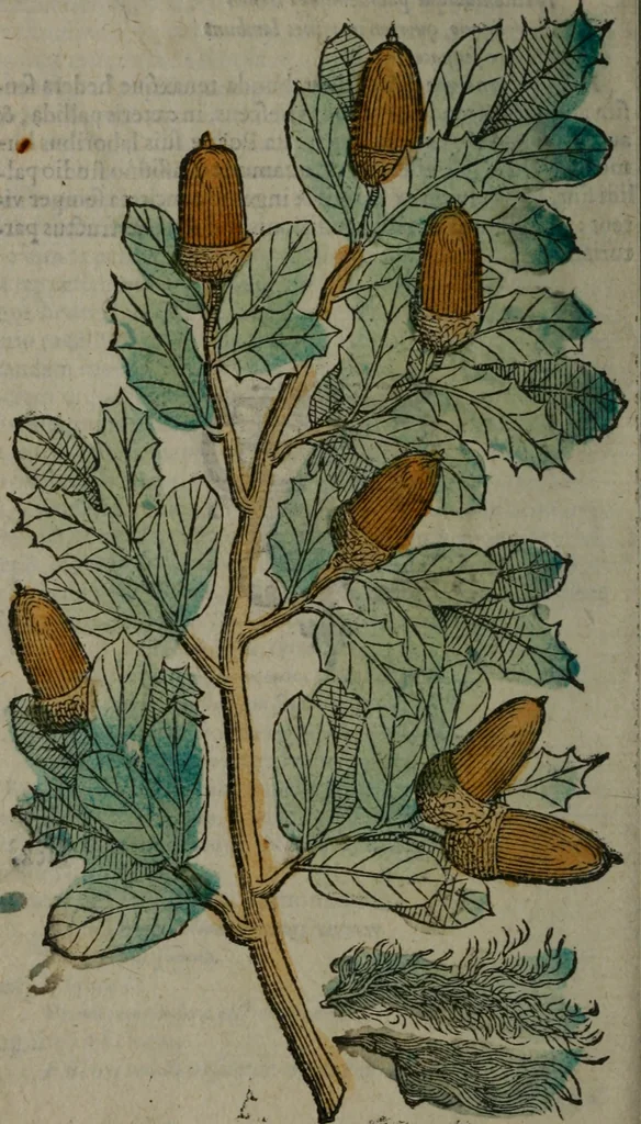 An illustration from Omnia Andreae Alciati v.c. emblemata : cum commentariis, quibus emblematum omnium aperta origine, mens auctoris explicatur, & obscura omnia dubiáque illustrantur, 1577, leaf 661