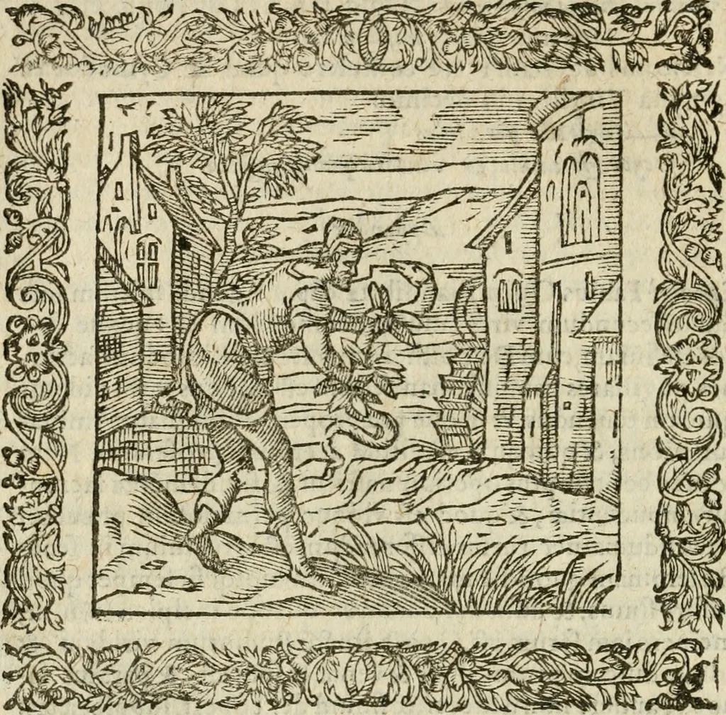 An illustration from Omnia Andreae Alciati V.C. Emblemata : cum commentariis, quibus emblematum detecta origine, dubia omnia, et obscura illustrantur, 1602, leaf 201