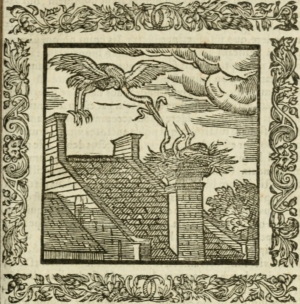 An illustration from Omnia Andreae Alciati V.C. Emblemata : cum commentariis, quibus emblematum detecta origine, dubia omnia, et obscura illustrantur, 1602, leaf 252