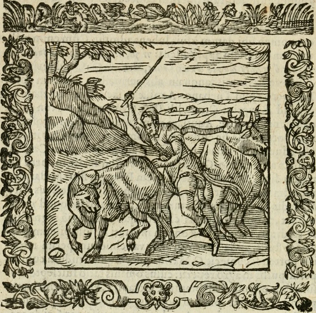 An illustration from Omnia Andreae Alciati V.C. Emblemata : cum commentariis, quibus emblematum detecta origine, dubia omnia, et obscura illustrantur, 1602, leaf 269
