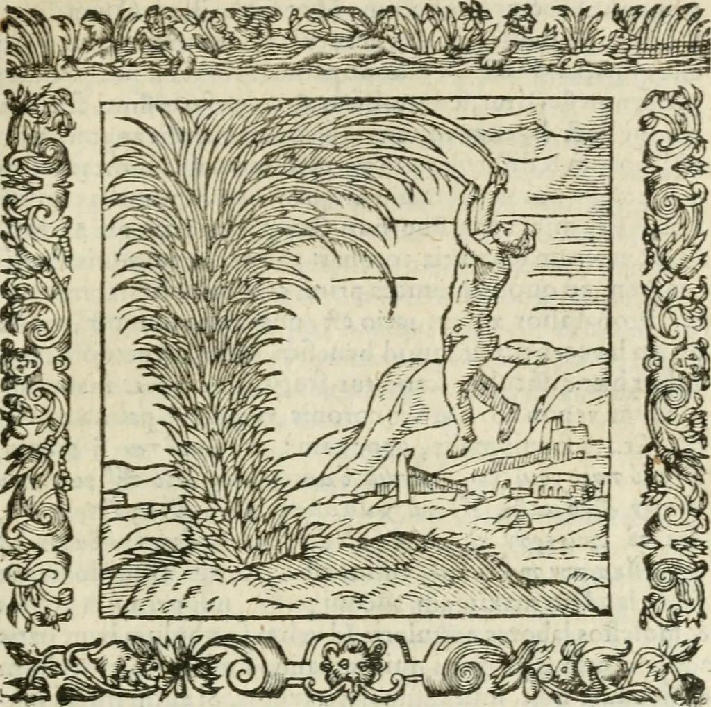 An illustration from Omnia Andreae Alciati V.C. Emblemata : cum commentariis, quibus emblematum detecta origine, dubia omnia, et obscura illustrantur, 1602, leaf 280