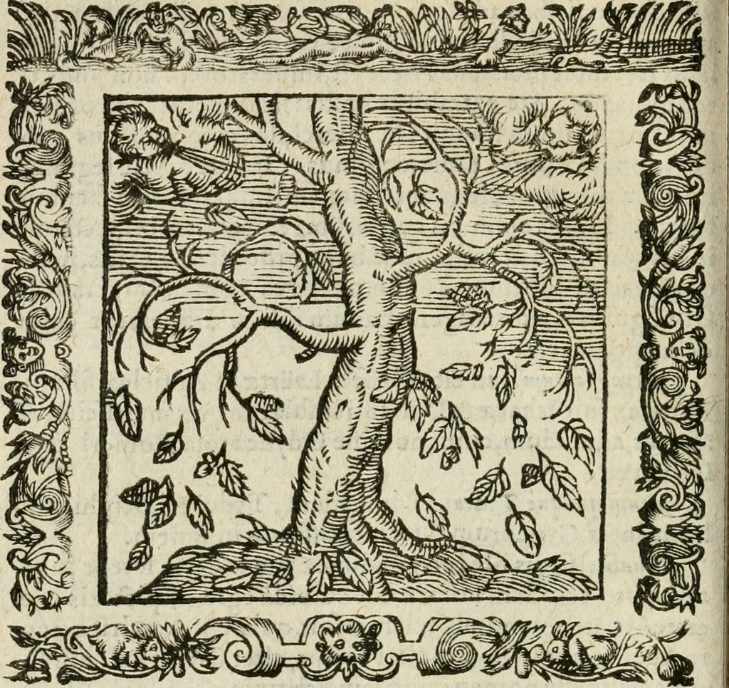 An illustration from Omnia Andreae Alciati V.C. Emblemata : cum commentariis, quibus emblematum detecta origine, dubia omnia, et obscura illustrantur, 1602, leaf 303