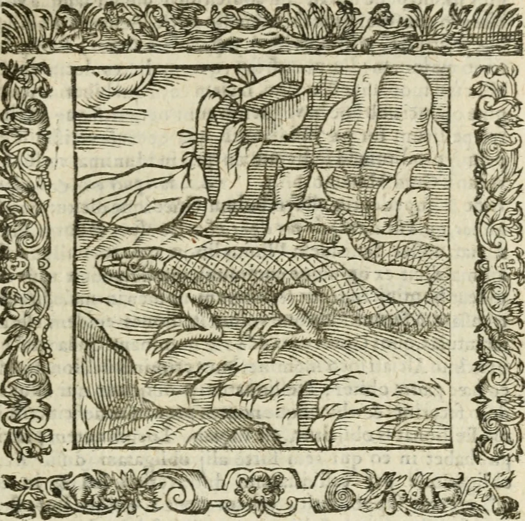 An illustration from Omnia Andreae Alciati V.C. Emblemata : cum commentariis, quibus emblematum detecta origine, dubia omnia, et obscura illustrantur, 1602, leaf 328