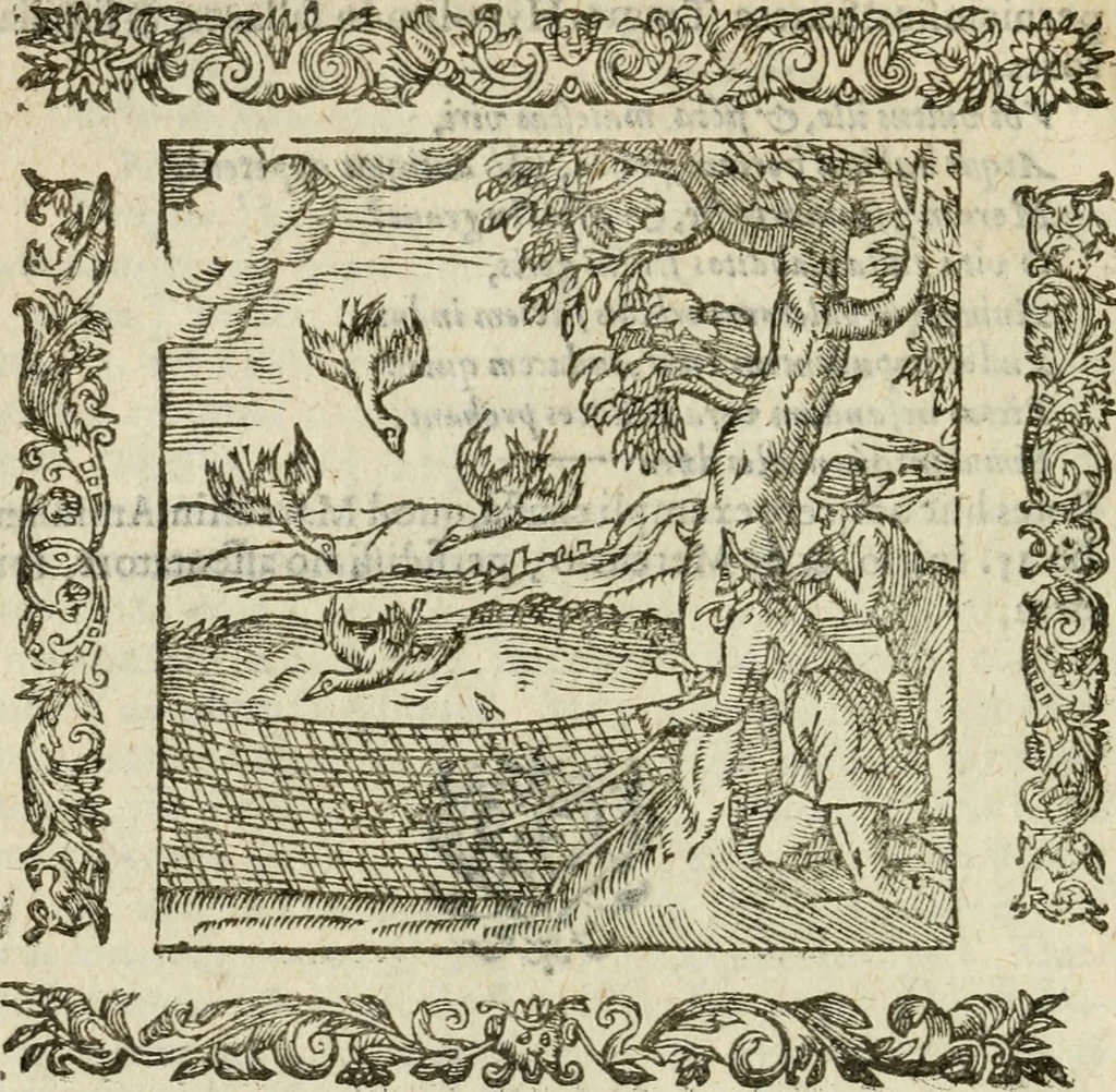 An illustration from Omnia Andreae Alciati V.C. Emblemata : cum commentariis, quibus emblematum detecta origine, dubia omnia, et obscura illustrantur, 1602, leaf 333