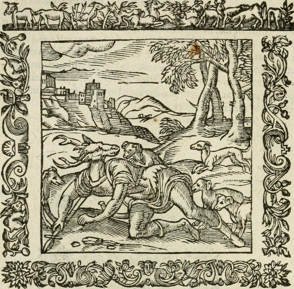 An illustration from Omnia Andreae Alciati V.C. Emblemata : cum commentariis, quibus emblematum detecta origine, dubia omnia, et obscura illustrantur, 1602, leaf 339