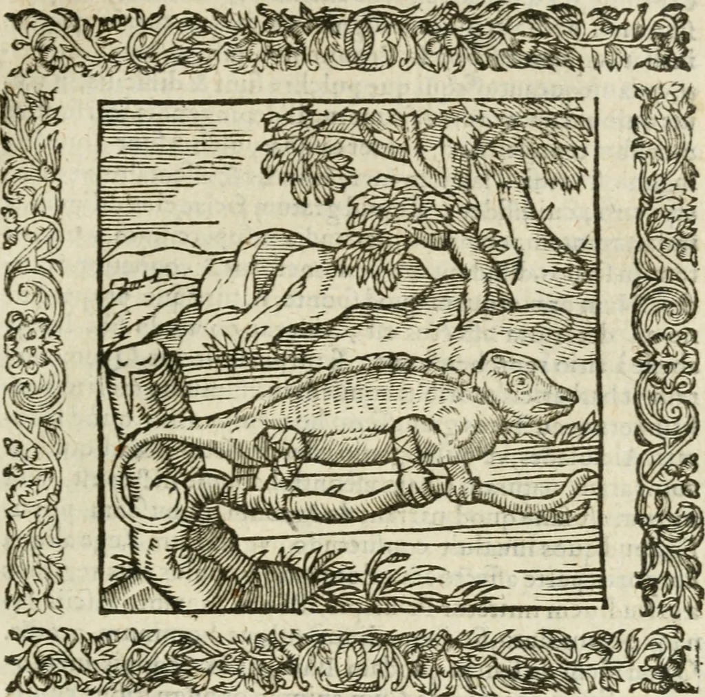 An illustration from Omnia Andreae Alciati V.C. Emblemata : cum commentariis, quibus emblematum detecta origine, dubia omnia, et obscura illustrantur, 1602, leaf 344