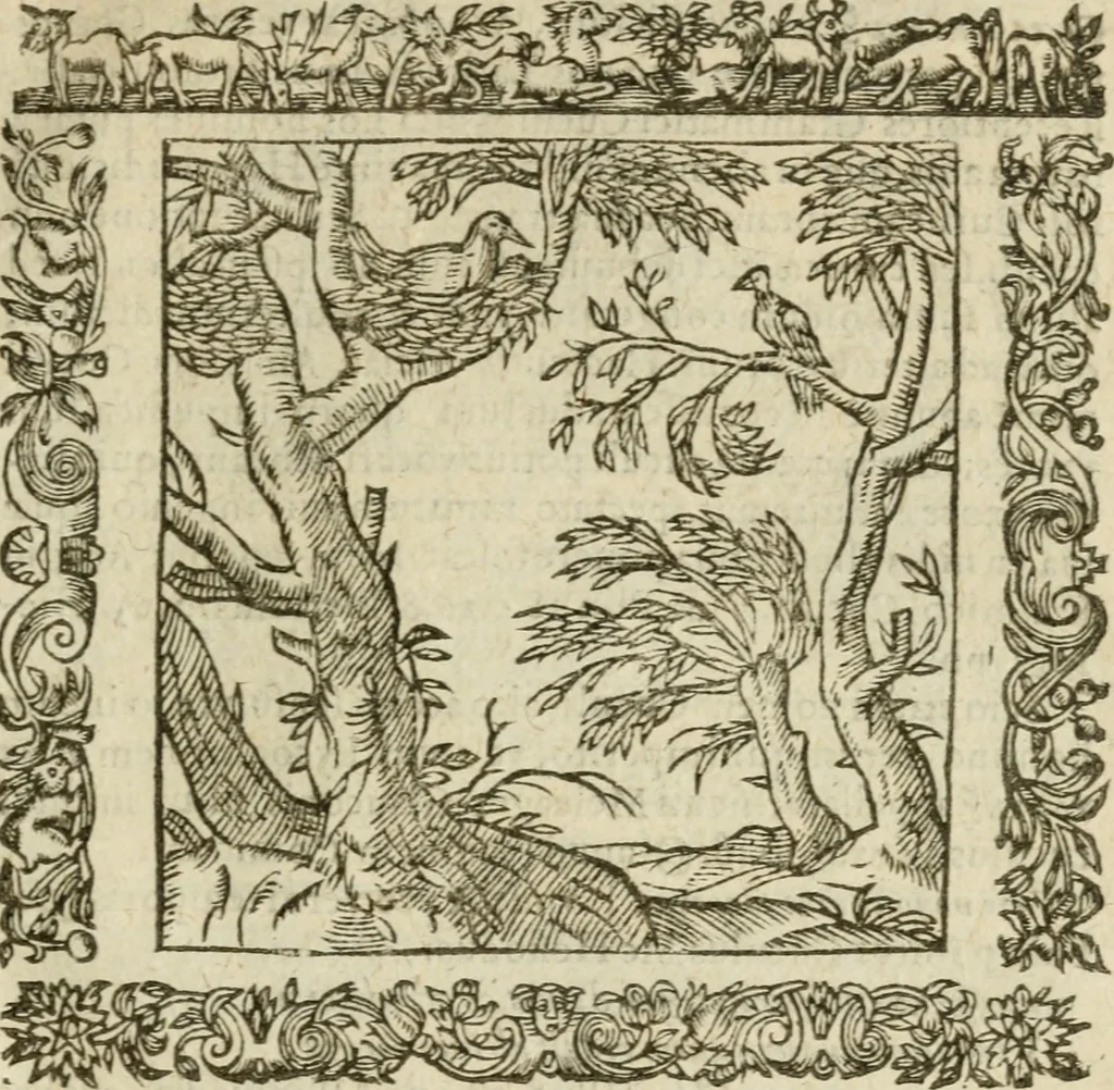 An illustration from Omnia Andreae Alciati V.C. Emblemata : cum commentariis, quibus emblematum detecta origine, dubia omnia, et obscura illustrantur, 1602, leaf 368