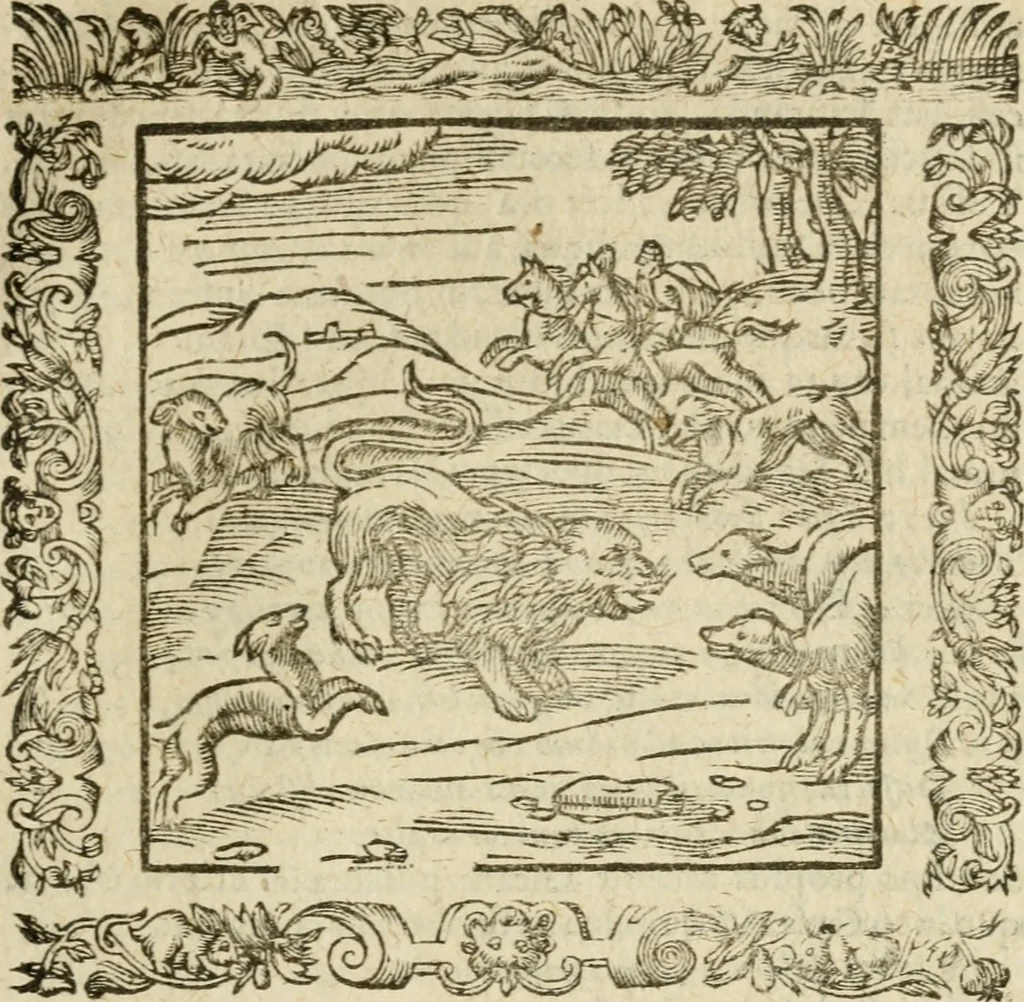 An illustration from Omnia Andreae Alciati V.C. Emblemata : cum commentariis, quibus emblematum detecta origine, dubia omnia, et obscura illustrantur, 1602, leaf 376