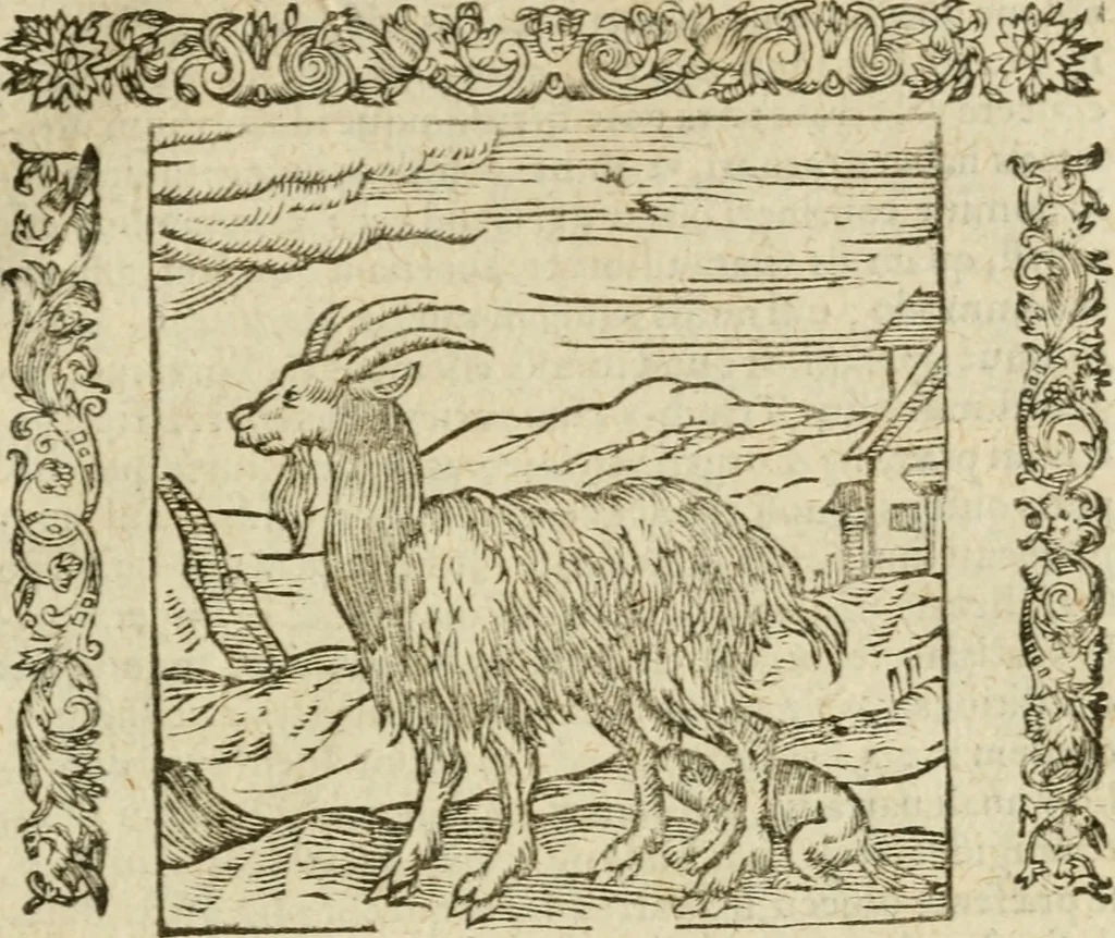 An illustration from Omnia Andreae Alciati V.C. Emblemata : cum commentariis, quibus emblematum detecta origine, dubia omnia, et obscura illustrantur, 1602, leaf 380