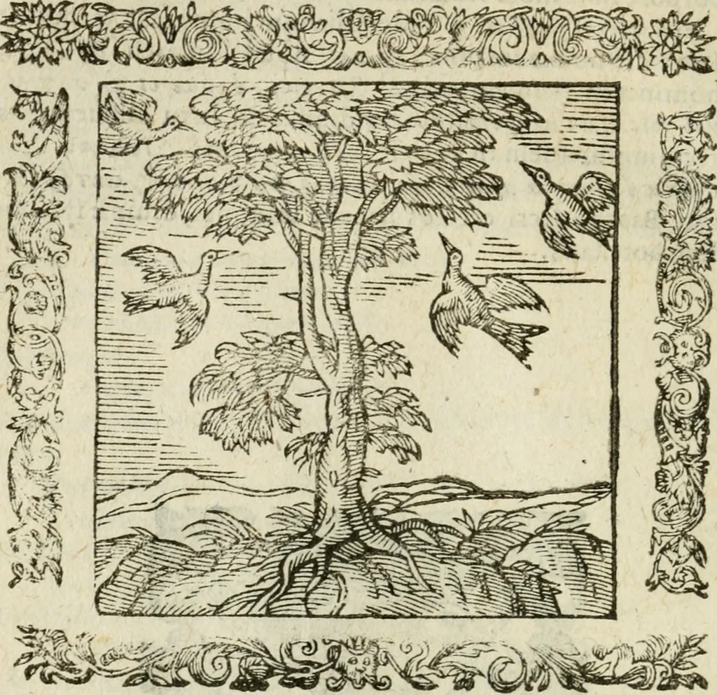An illustration from Omnia Andreae Alciati V.C. Emblemata : cum commentariis, quibus emblematum detecta origine, dubia omnia, et obscura illustrantur, 1602, leaf 413