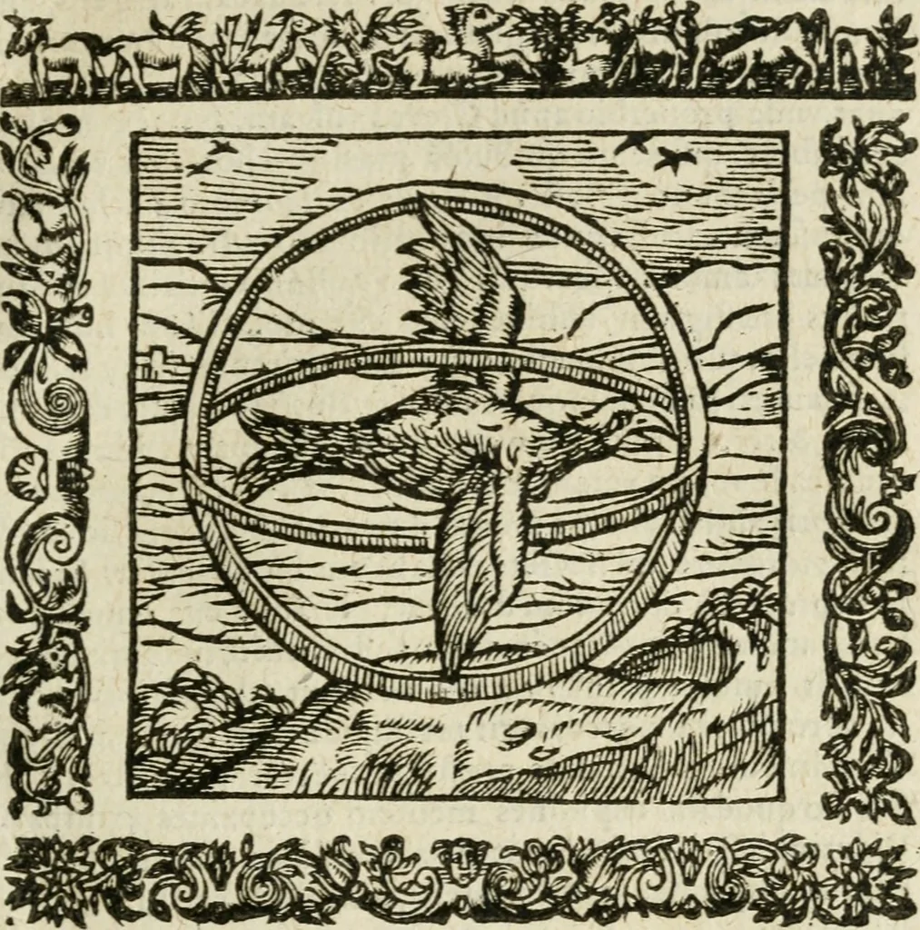 An illustration from Omnia Andreae Alciati V.C. Emblemata : cum commentariis, quibus emblematum detecta origine, dubia omnia, et obscura illustrantur, 1602, leaf 432