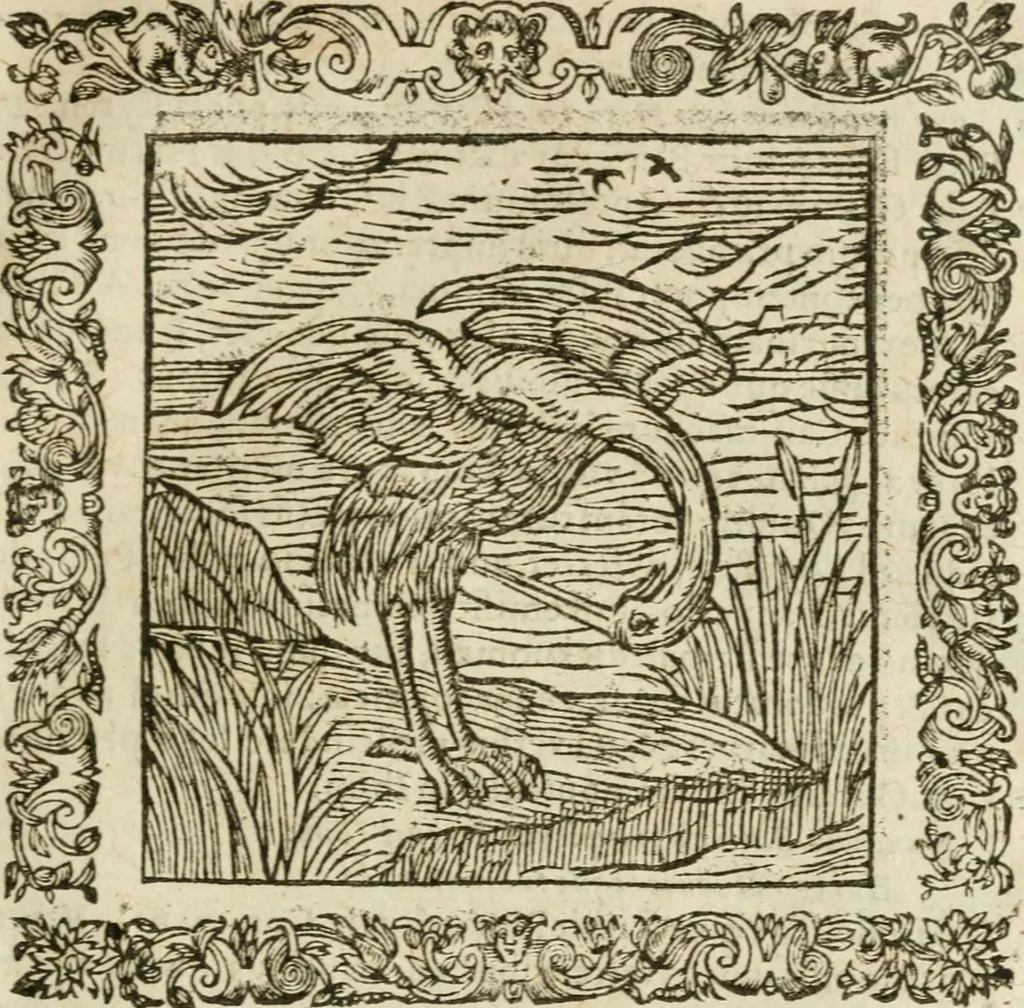 An illustration from Omnia Andreae Alciati V.C. Emblemata : cum commentariis, quibus emblematum detecta origine, dubia omnia, et obscura illustrantur, 1602, leaf 466