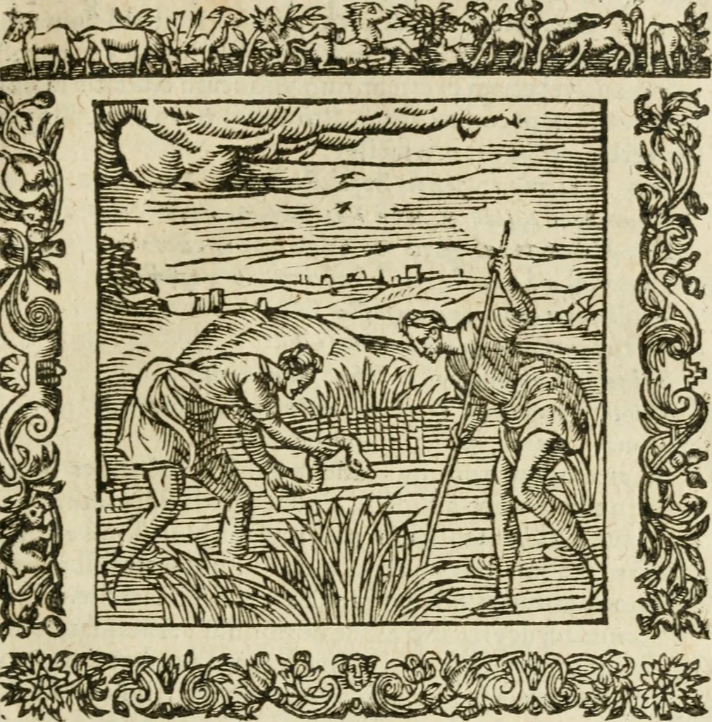 An illustration from Omnia Andreae Alciati V.C. Emblemata : cum commentariis, quibus emblematum detecta origine, dubia omnia, et obscura illustrantur, 1602, leaf 468