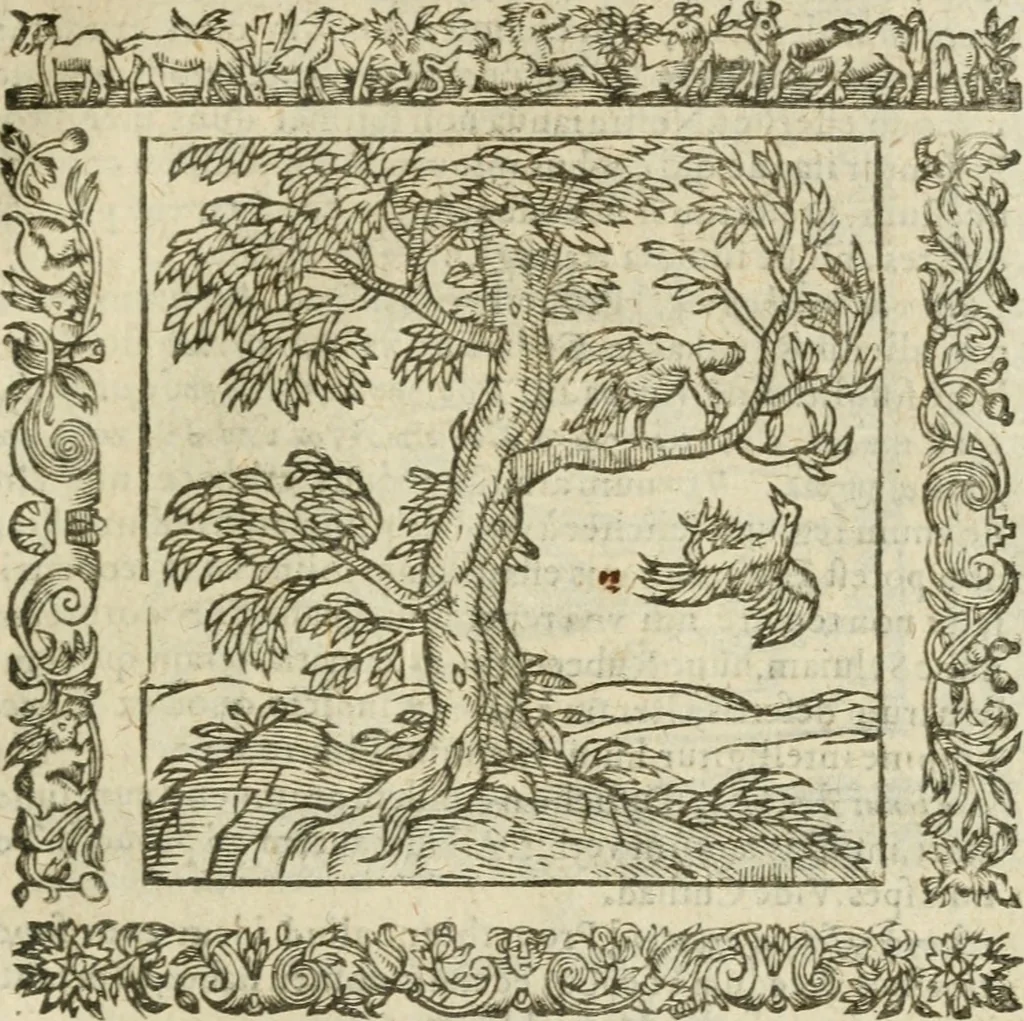 An illustration from Omnia Andreae Alciati V.C. Emblemata : cum commentariis, quibus emblematum detecta origine, dubia omnia, et obscura illustrantur, 1602, leaf 484