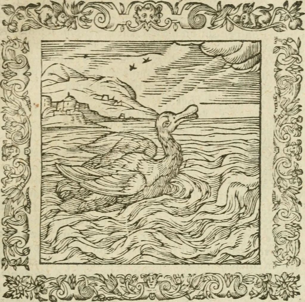 An illustration from Omnia Andreae Alciati V.C. Emblemata : cum commentariis, quibus emblematum detecta origine, dubia omnia, et obscura illustrantur, 1602, leaf 488