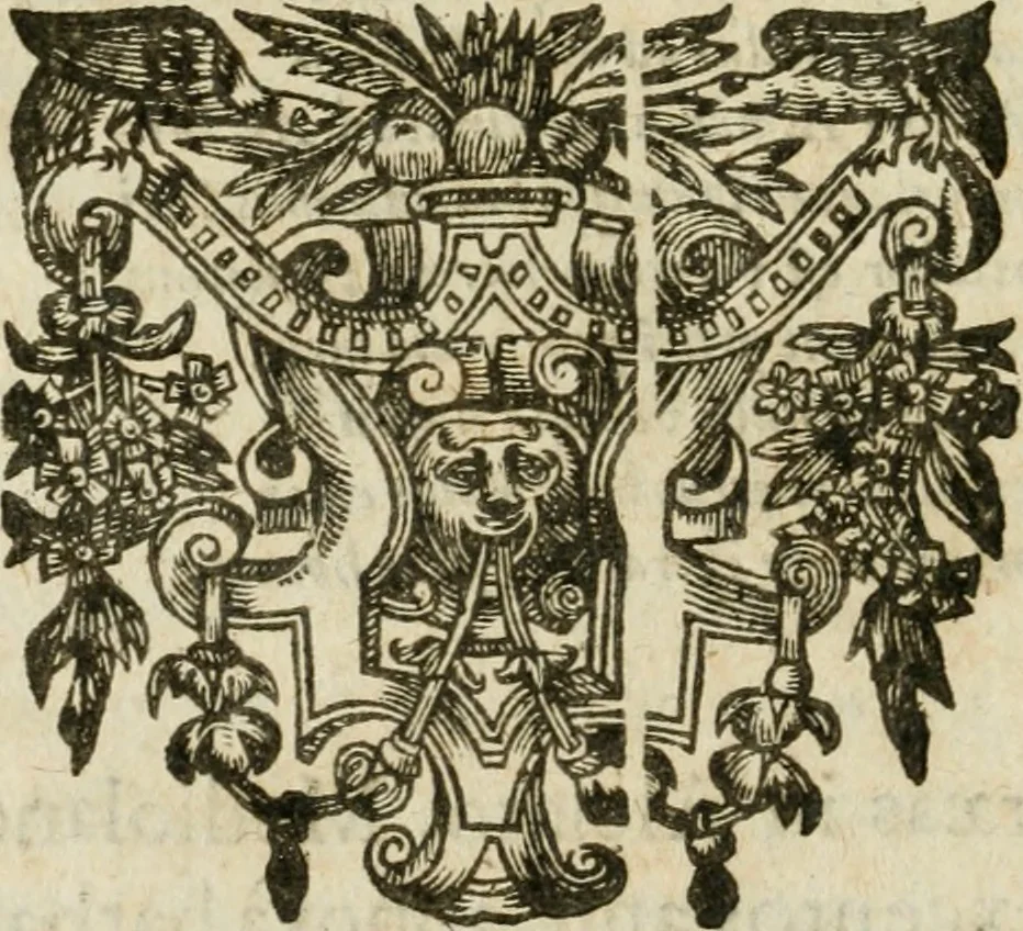 An illustration from Omnia Andreae Alciati V.C. Emblemata : cum commentariis, quibus emblematum detecta origine, dubia omnia, et obscura illustrantur, 1602, leaf 49