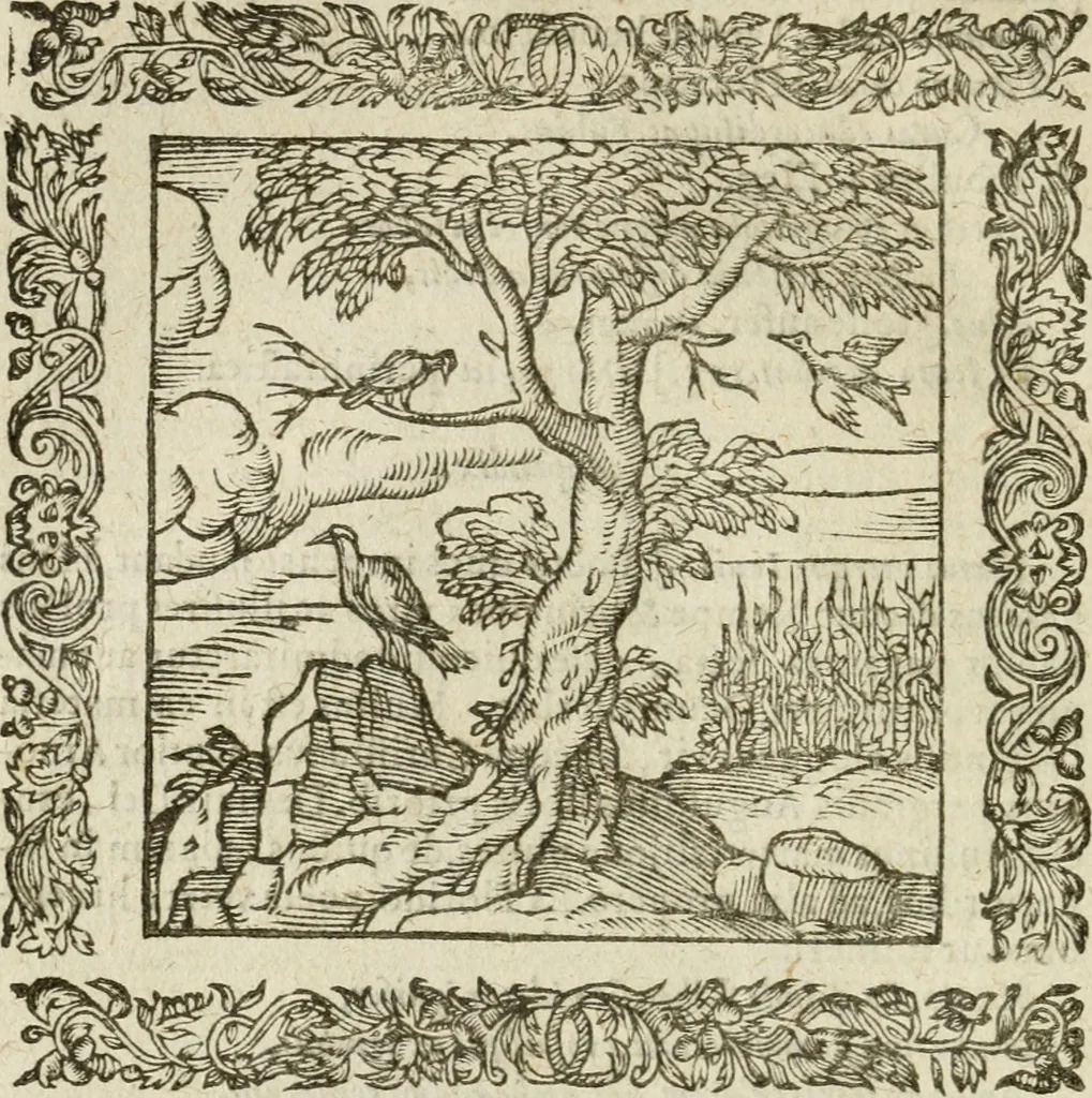An illustration from Omnia Andreae Alciati V.C. Emblemata : cum commentariis, quibus emblematum detecta origine, dubia omnia, et obscura illustrantur, 1602, leaf 507