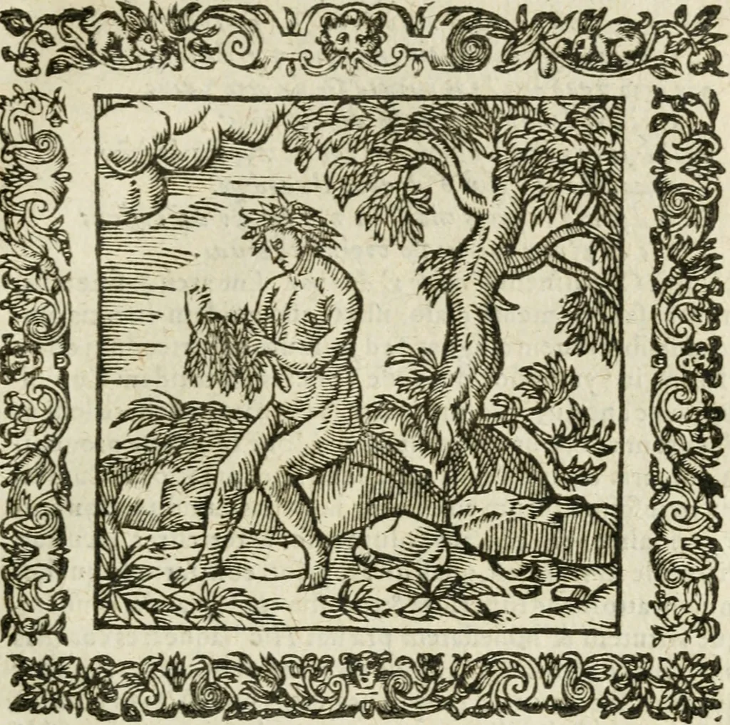 An illustration from Omnia Andreae Alciati V.C. Emblemata : cum commentariis, quibus emblematum detecta origine, dubia omnia, et obscura illustrantur, 1602, leaf 542