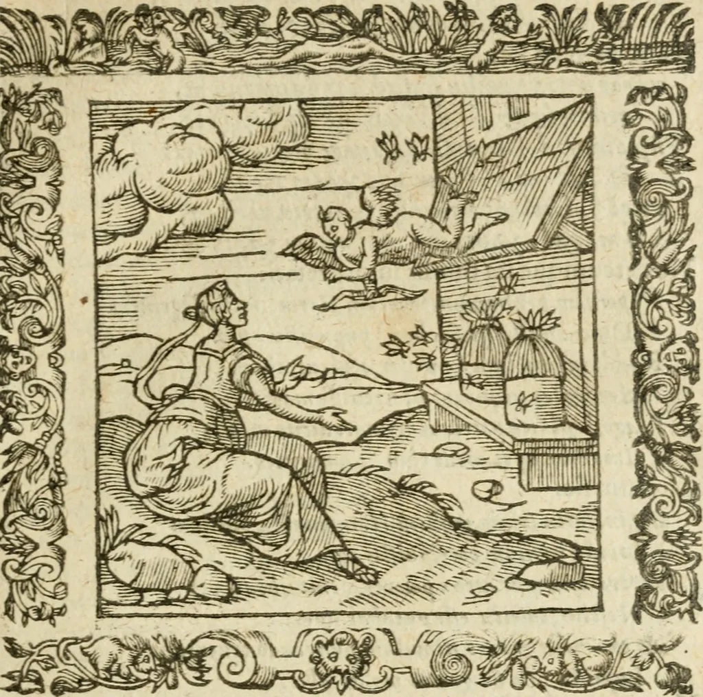 An illustration from Omnia Andreae Alciati V.C. Emblemata : cum commentariis, quibus emblematum detecta origine, dubia omnia, et obscura illustrantur, 1602, leaf 554