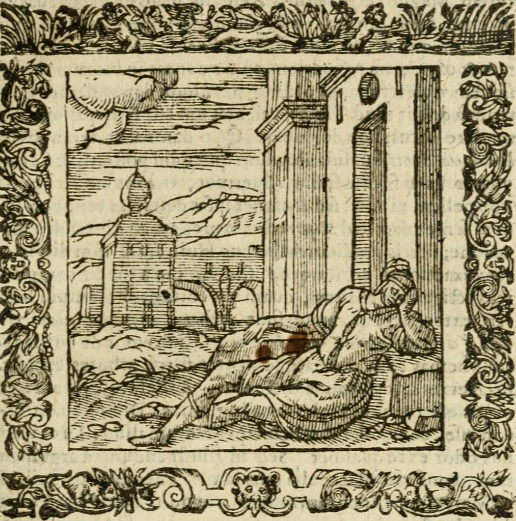 An illustration from Omnia Andreae Alciati V.C. Emblemata : cum commentariis, quibus emblematum detecta origine, dubia omnia, et obscura illustrantur, 1602, leaf 734