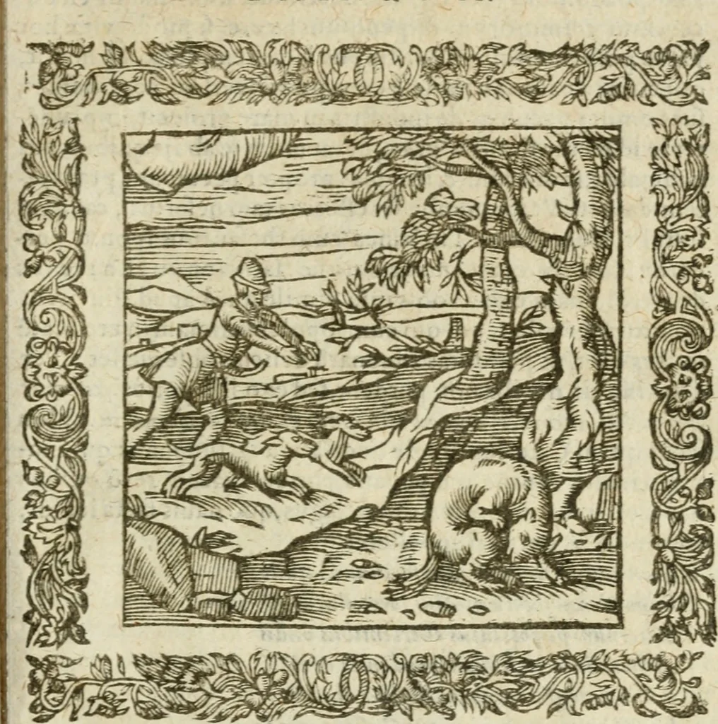 An illustration from Omnia Andreae Alciati V.C. Emblemata : cum commentariis, quibus emblematum detecta origine, dubia omnia, et obscura illustrantur, 1602, leaf 754