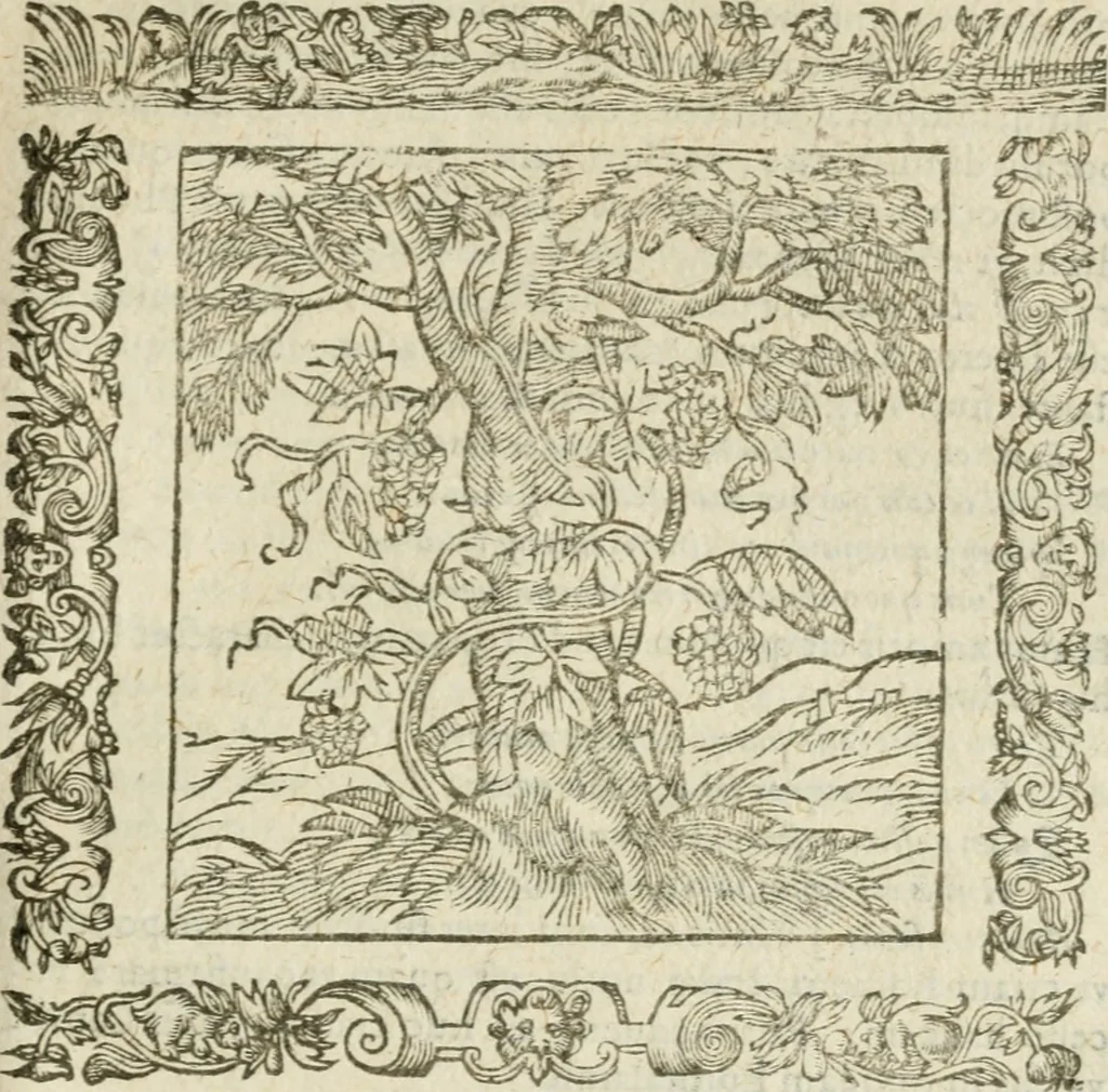 An illustration from Omnia Andreae Alciati V.C. Emblemata : cum commentariis, quibus emblematum detecta origine, dubia omnia, et obscura illustrantur, 1602, leaf 776
