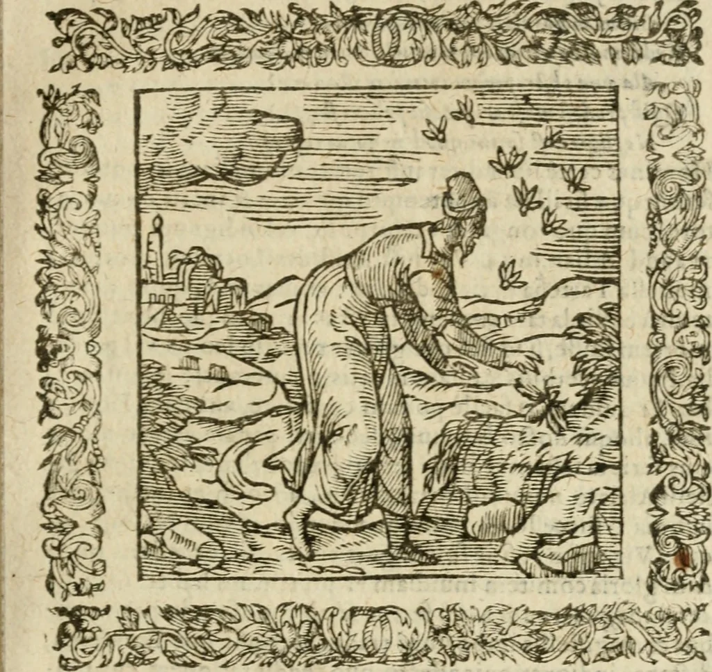 An illustration from Omnia Andreae Alciati V.C. Emblemata : cum commentariis, quibus emblematum detecta origine, dubia omnia, et obscura illustrantur, 1602, leaf 790