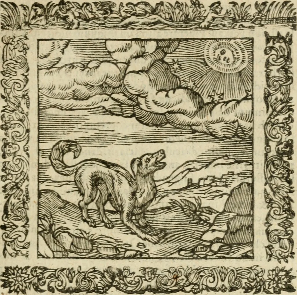 An illustration from Omnia Andreae Alciati V.C. Emblemata : cum commentariis, quibus emblematum detecta origine, dubia omnia, et obscura illustrantur, 1602, leaf 794