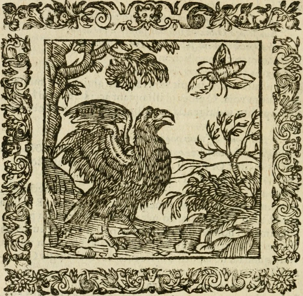 An illustration from Omnia Andreae Alciati V.C. Emblemata : cum commentariis, quibus emblematum detecta origine, dubia omnia, et obscura illustrantur, 1602, leaf 809