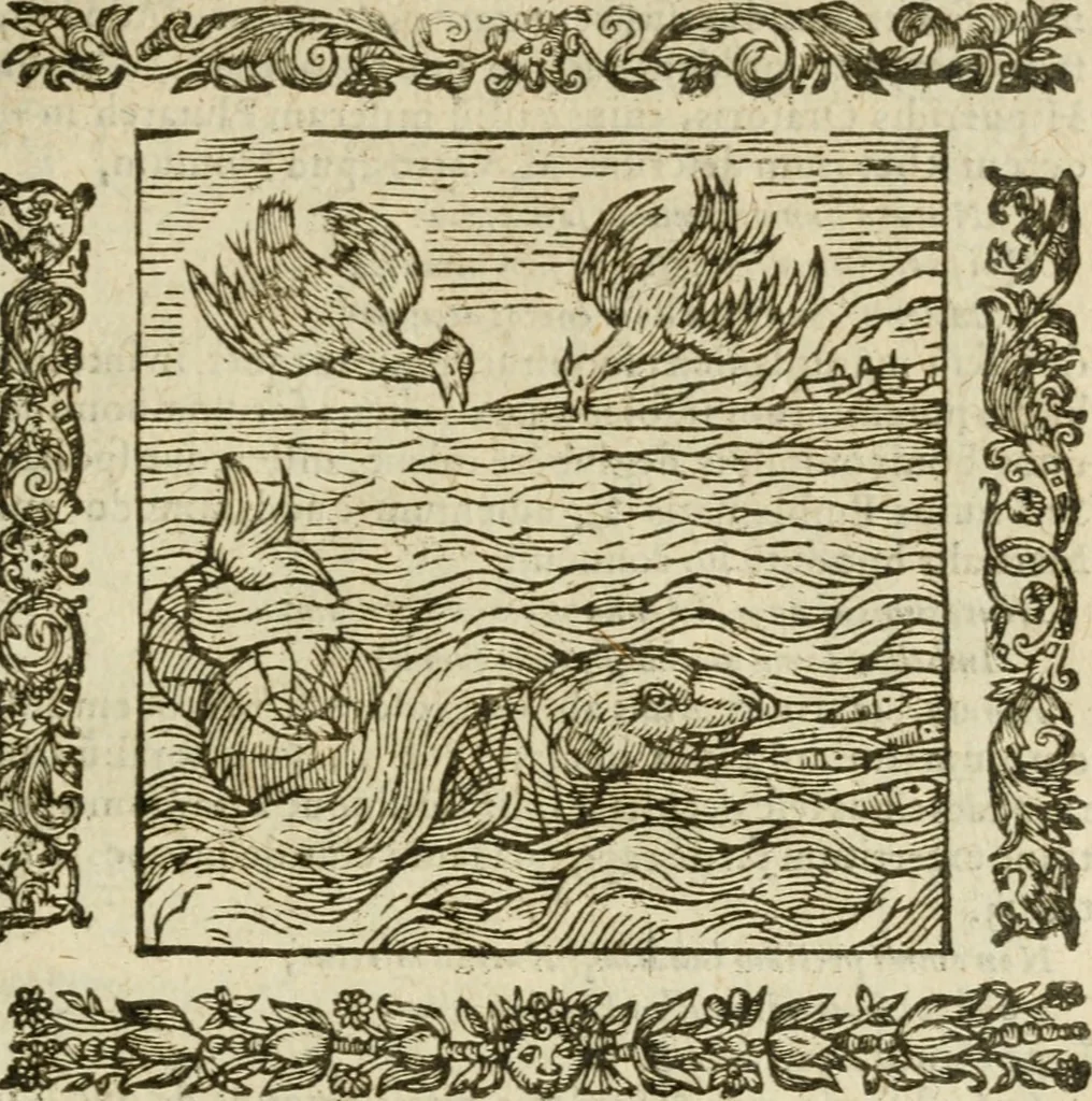 An illustration from Omnia Andreae Alciati V.C. Emblemata : cum commentariis, quibus emblematum detecta origine, dubia omnia, et obscura illustrantur, 1602, leaf 812