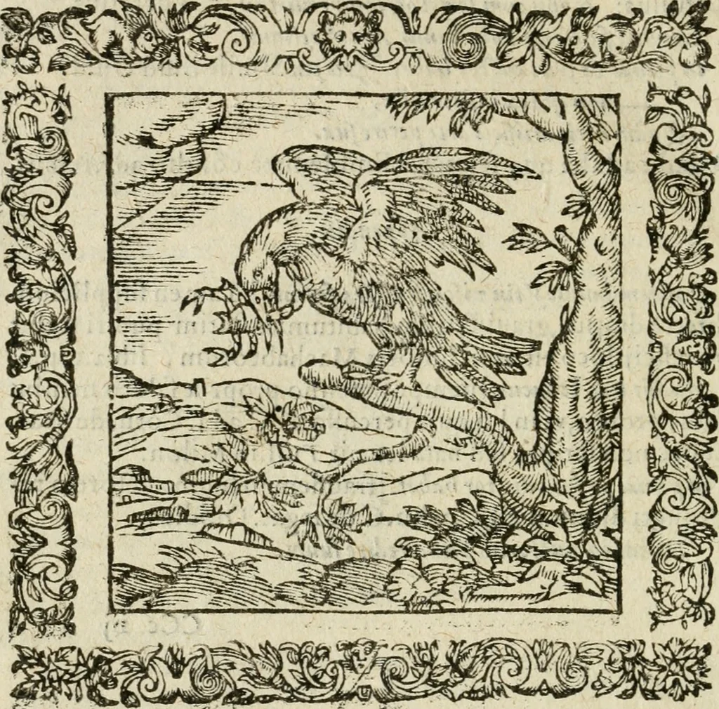 An illustration from Omnia Andreae Alciati V.C. Emblemata : cum commentariis, quibus emblematum detecta origine, dubia omnia, et obscura illustrantur, 1602, leaf 823
