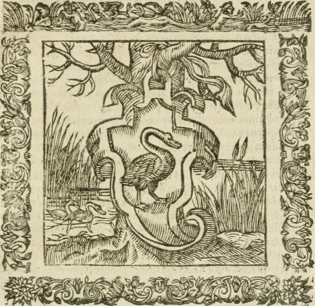 An illustration from Omnia Andreae Alciati V.C. Emblemata : cum commentariis, quibus emblematum detecta origine, dubia omnia, et obscura illustrantur, 1602, leaf 874