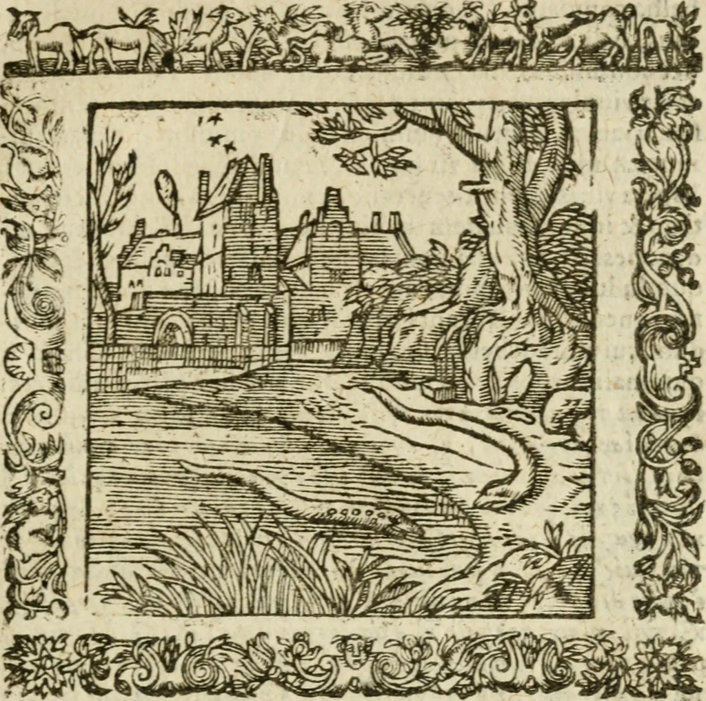 An illustration from Omnia Andreae Alciati V.C. Emblemata : cum commentariis, quibus emblematum detecta origine, dubia omnia, et obscura illustrantur, 1602, leaf 908