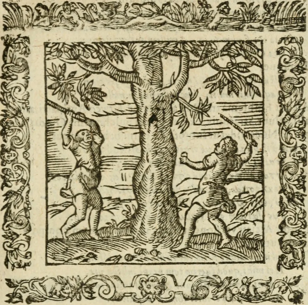 An illustration from Omnia Andreae Alciati V.C. Emblemata : cum commentariis, quibus emblematum detecta origine, dubia omnia, et obscura illustrantur, 1602, leaf 912