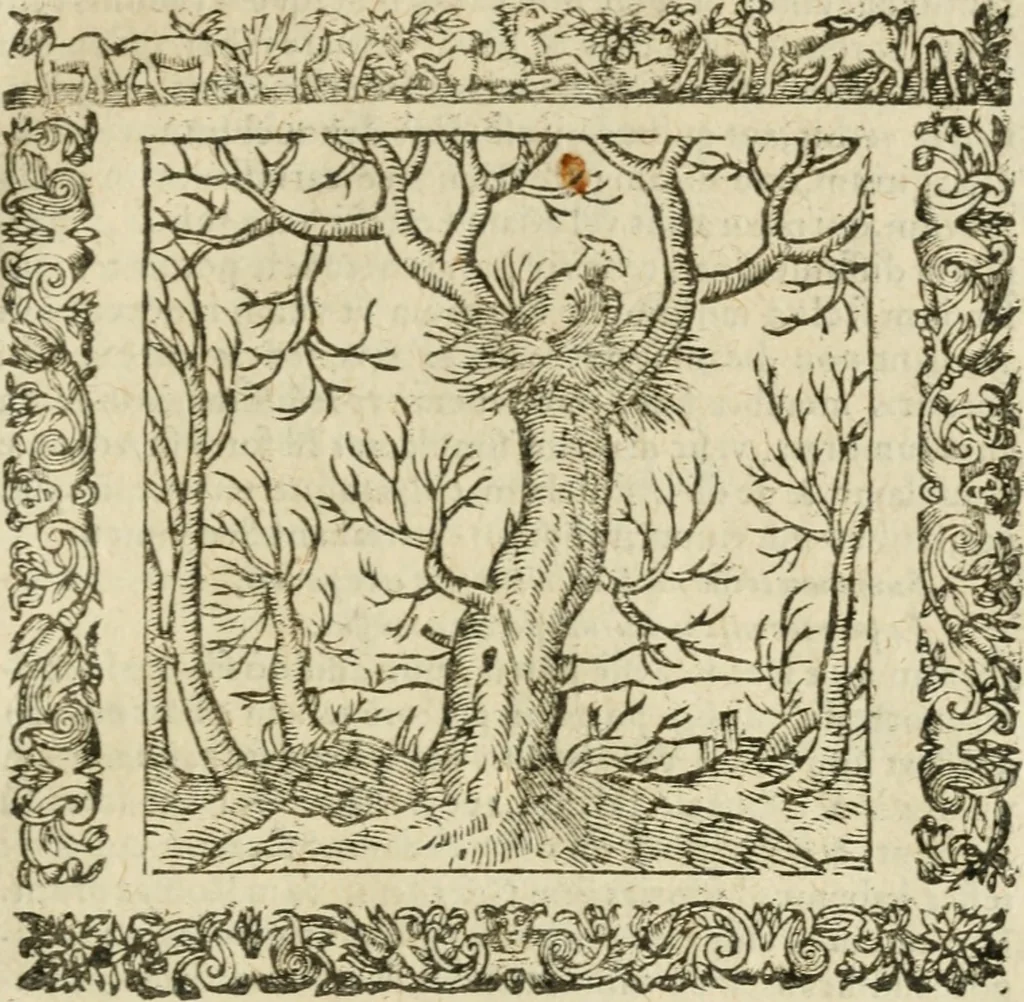 An illustration from Omnia Andreae Alciati V.C. Emblemata : cum commentariis, quibus emblematum detecta origine, dubia omnia, et obscura illustrantur, 1602, leaf 914