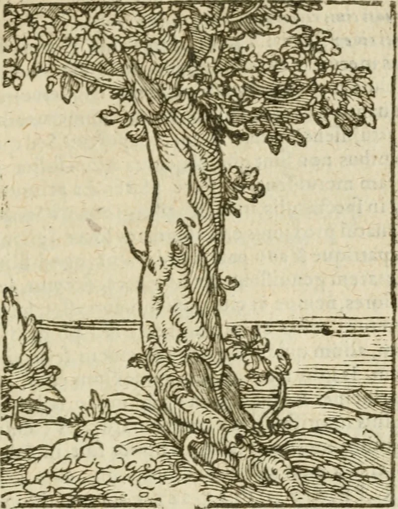 An illustration from Omnia Andreae Alciati V.C. Emblemata : cum commentariis, quibus emblematum detecta origine, dubia omnia, et obscura illustrantur, 1602, leaf 942