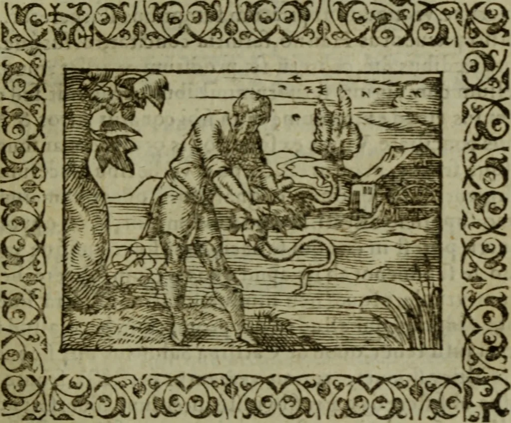 An illustration from Omnia Andreae Alciati v.c. emblemata : cum commentariis, quibus emblematum omnium aperta origine, mens authoris explicatur, & obscura omnia dubiaque illustrantur, 1583, leaf 116