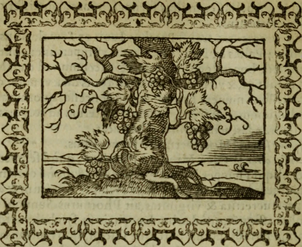An illustration from Omnia Andreae Alciati v.c. emblemata : cum commentariis, quibus emblematum omnium aperta origine, mens authoris explicatur, & obscura omnia dubiaque illustrantur, 1583, leaf 125