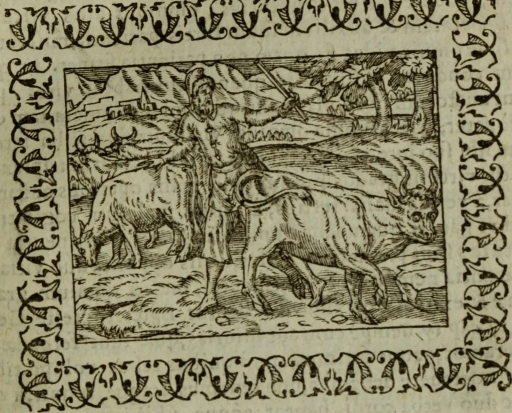An illustration from Omnia Andreae Alciati v.c. emblemata : cum commentariis, quibus emblematum omnium aperta origine, mens authoris explicatur, & obscura omnia dubiaque illustrantur, 1583, leaf 166