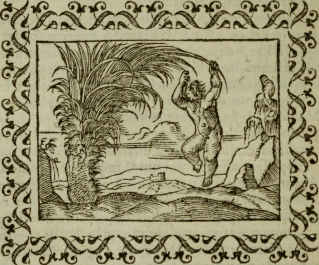 An illustration from Omnia Andreae Alciati v.c. emblemata : cum commentariis, quibus emblematum omnium aperta origine, mens authoris explicatur, & obscura omnia dubiaque illustrantur, 1583, leaf 173