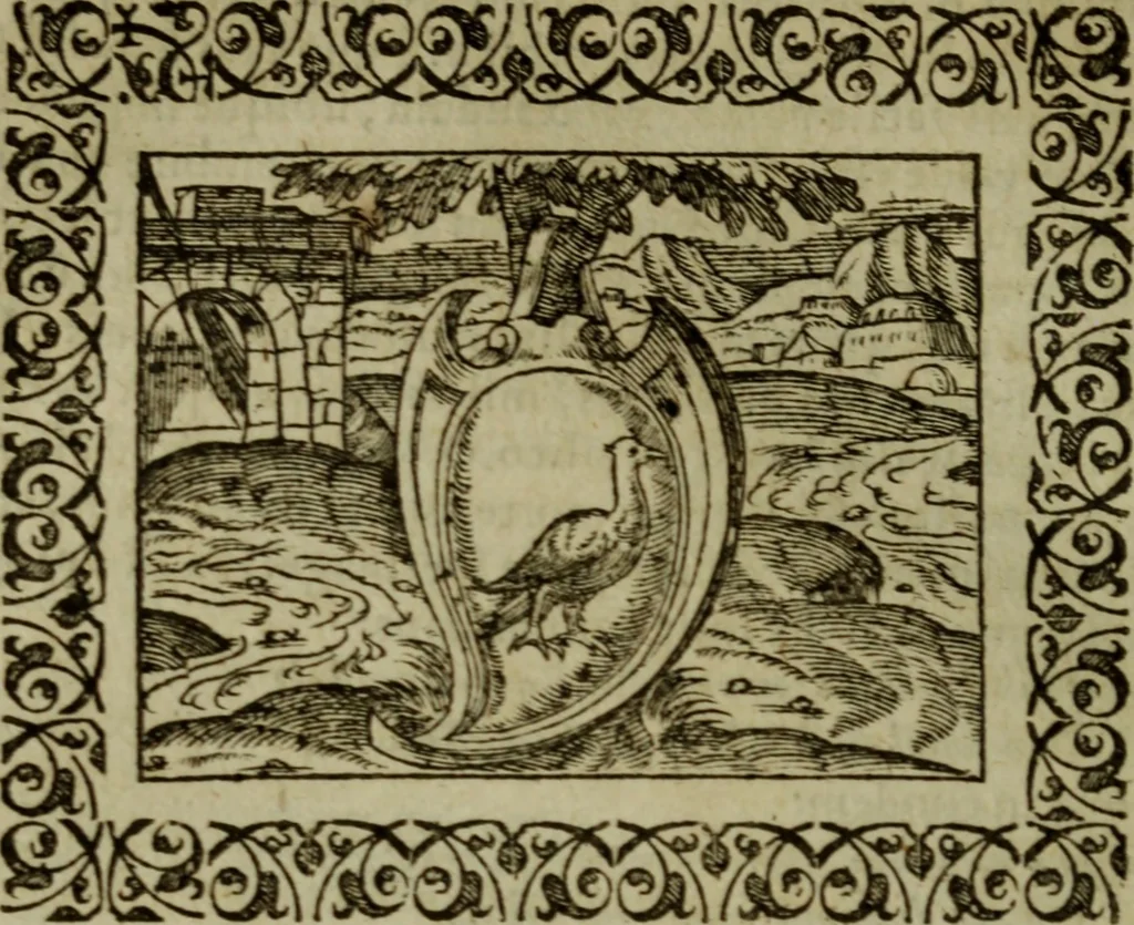 An illustration from Omnia Andreae Alciati v.c. emblemata : cum commentariis, quibus emblematum omnium aperta origine, mens authoris explicatur, & obscura omnia dubiaque illustrantur, 1583, leaf 205