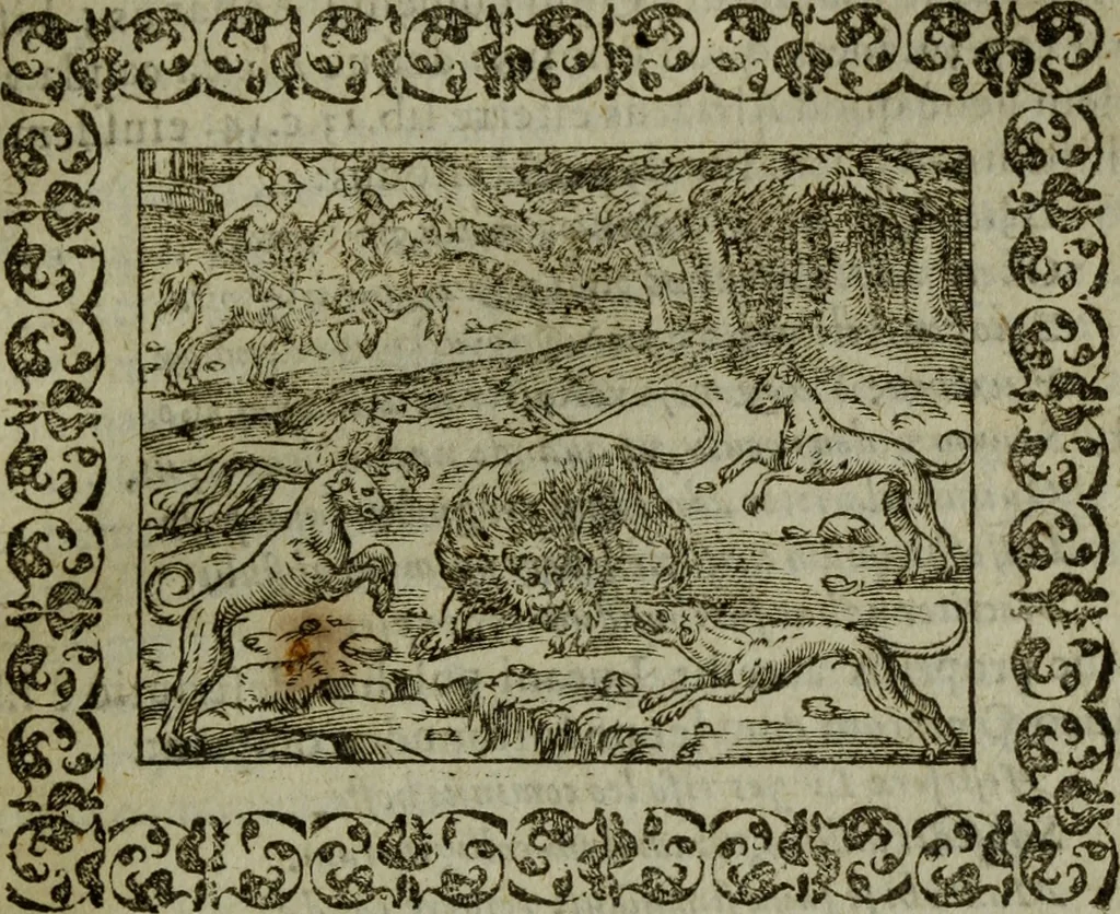 An illustration from Omnia Andreae Alciati v.c. emblemata : cum commentariis, quibus emblematum omnium aperta origine, mens authoris explicatur, & obscura omnia dubiaque illustrantur, 1583, leaf 244