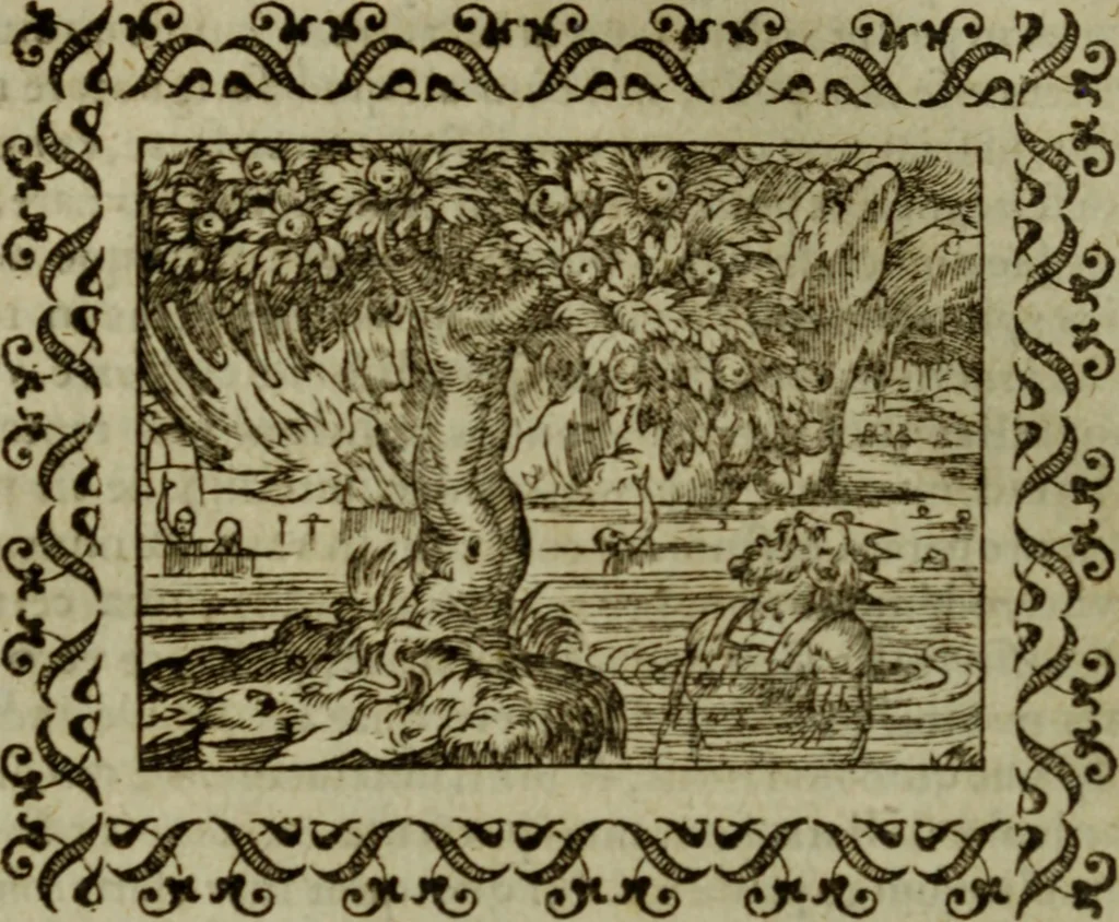 An illustration from Omnia Andreae Alciati v.c. emblemata : cum commentariis, quibus emblematum omnium aperta origine, mens authoris explicatur, & obscura omnia dubiaque illustrantur, 1583, leaf 307