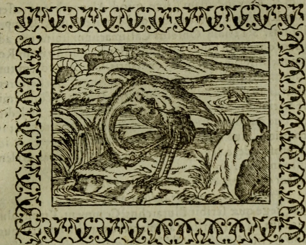 An illustration from Omnia Andreae Alciati v.c. emblemata : cum commentariis, quibus emblematum omnium aperta origine, mens authoris explicatur, & obscura omnia dubiaque illustrantur, 1583, leaf 314
