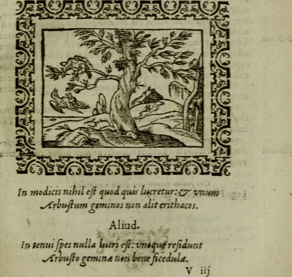 An illustration from Omnia Andreae Alciati v.c. emblemata : cum commentariis, quibus emblematum omnium aperta origine, mens authoris explicatur, & obscura omnia dubiaque illustrantur, 1583, leaf 328