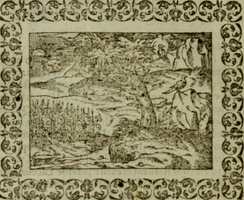 An illustration from Omnia Andreae Alciati v.c. emblemata : cum commentariis, quibus emblematum omnium aperta origine, mens authoris explicatur, & obscura omnia dubiaque illustrantur, 1583, leaf 345